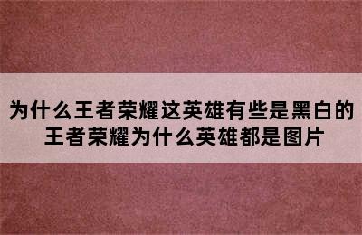 为什么王者荣耀这英雄有些是黑白的 王者荣耀为什么英雄都是图片